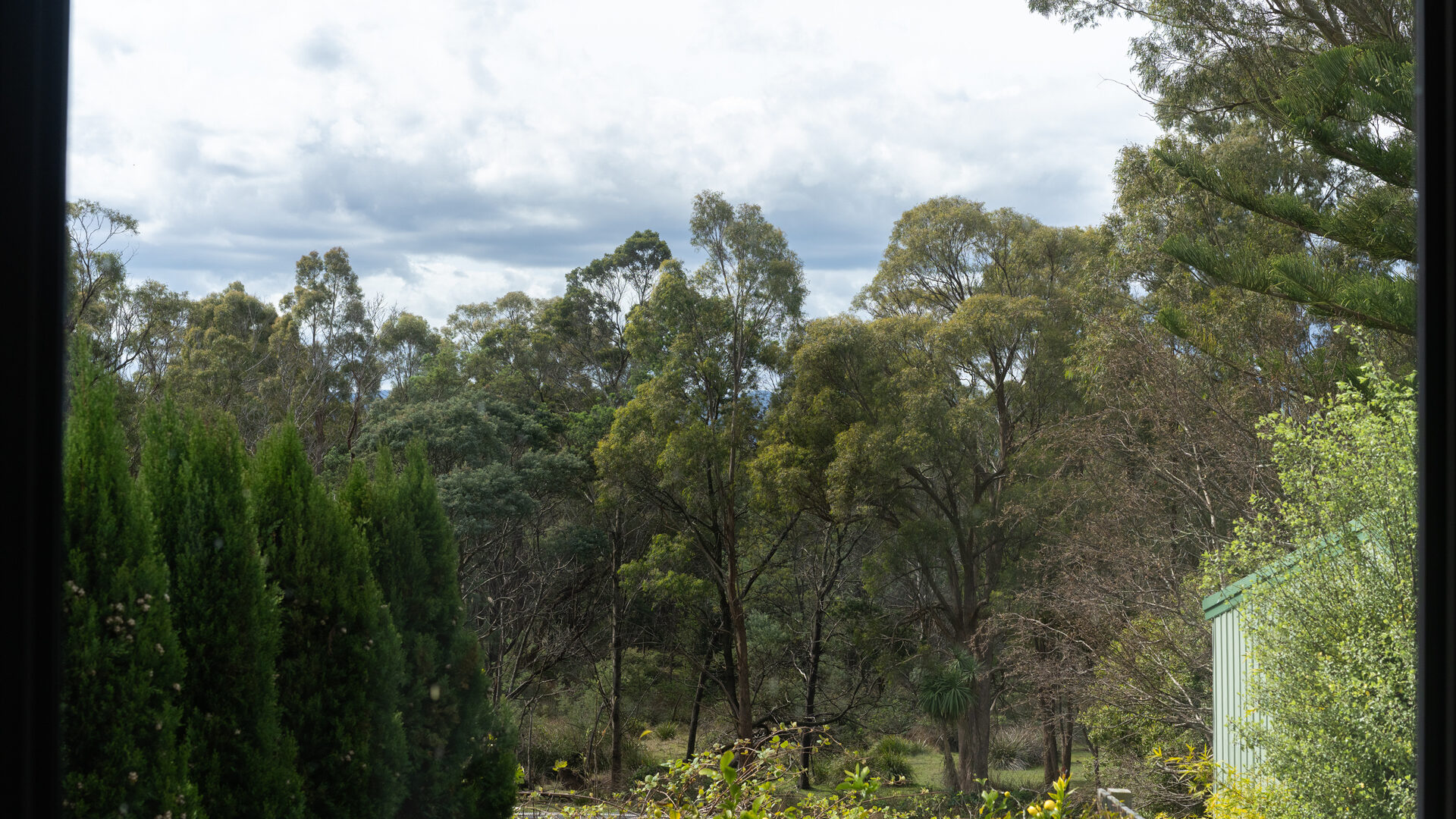 For Sale - 84 Reatta Road - New Property in Trevallyn - Real Estate by Josh Hart