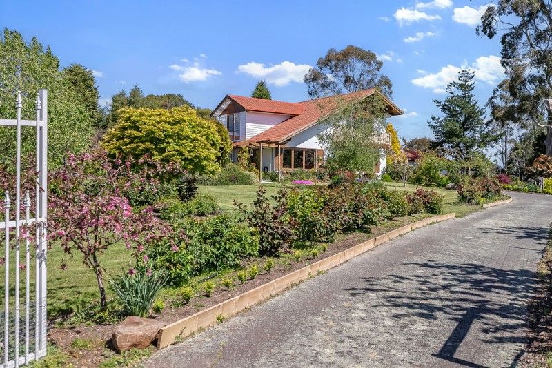 2 Pine Tree Avenue